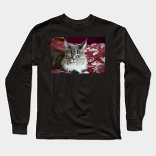 Cat Maine Coon gray / Swiss Artwork Photography Long Sleeve T-Shirt